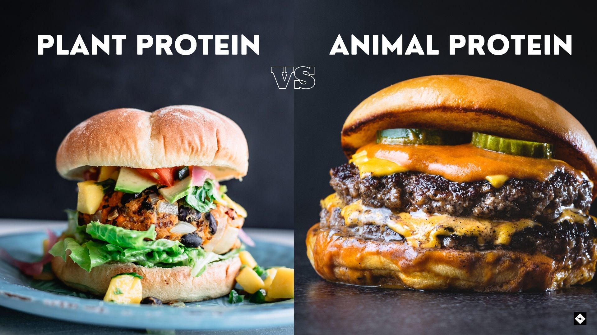 Plant Protein vs. Animal Protein Which One is Better? BLK BOX GYM